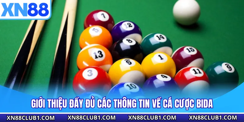 Giới thiệu đầy đủ các thông tin về cá cược bida